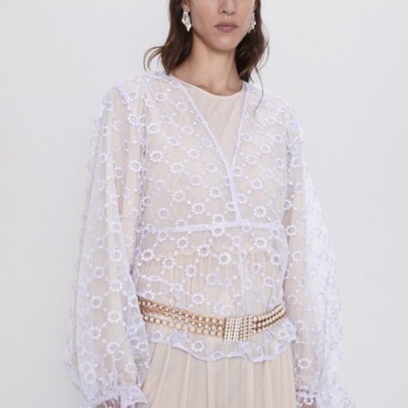 Zara Embroidered Organza Blouse M - Picture 3 of 9